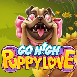 Play Go High Puppy Love slot by RubyPlay on hugo-bets.eu