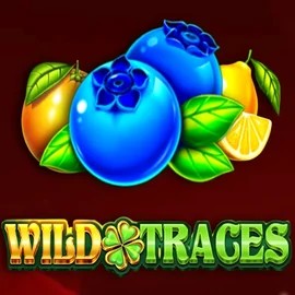 Wild Traces online slot from Amusnet Interactive – play at hugo-bets.eu